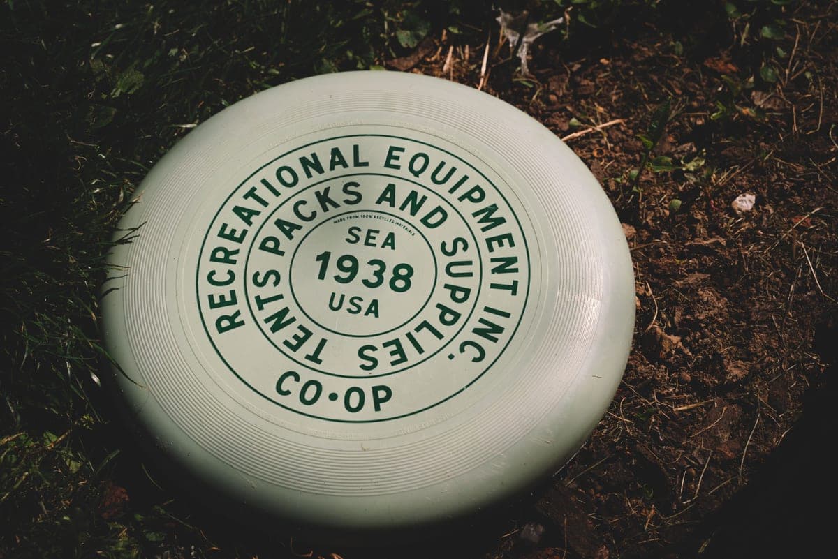 A flying disc in mid-air over a park
