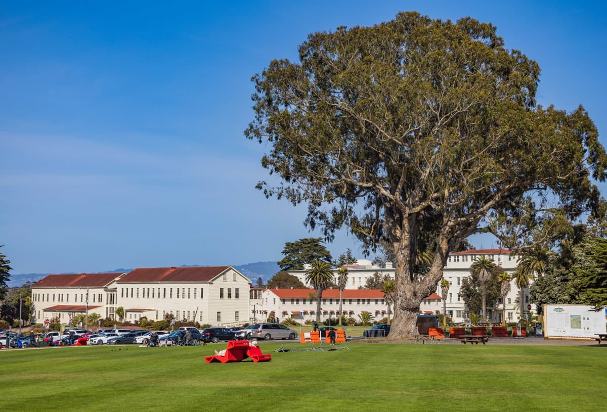 A wide open green lawn bordered by mature trees